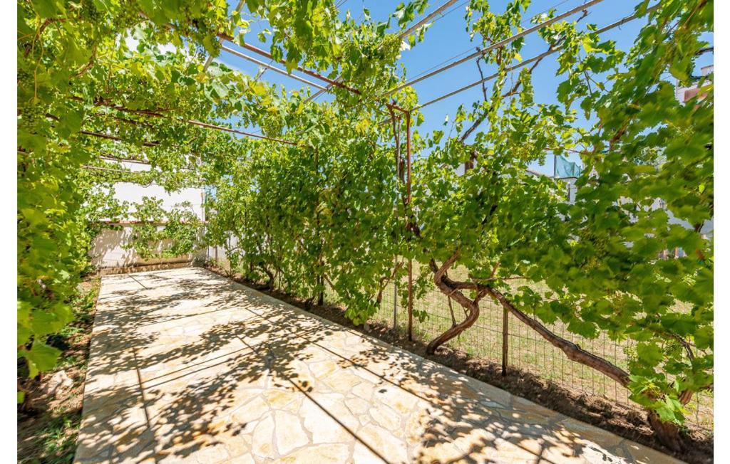 Apartment Neven Привлака Екстериор снимка